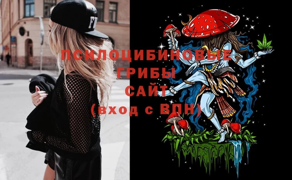 спиды Алексин