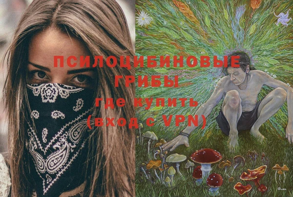 spice Алексеевка