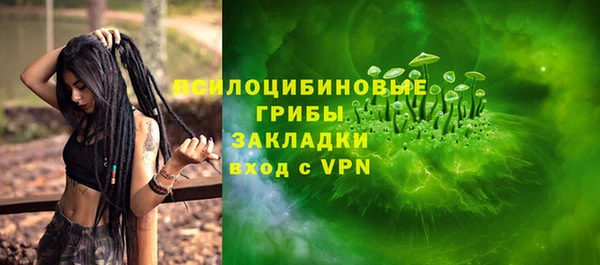spice Алексеевка