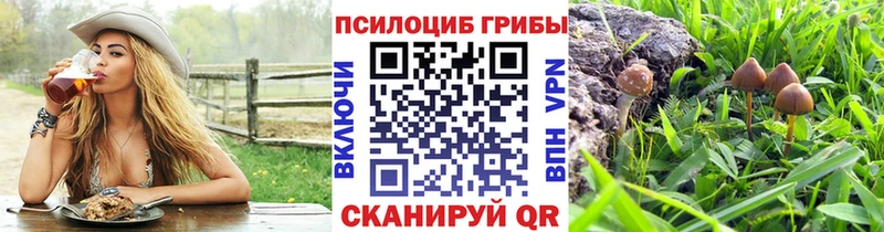 Галлюциногенные грибы мухоморы  где продают   Владимир 