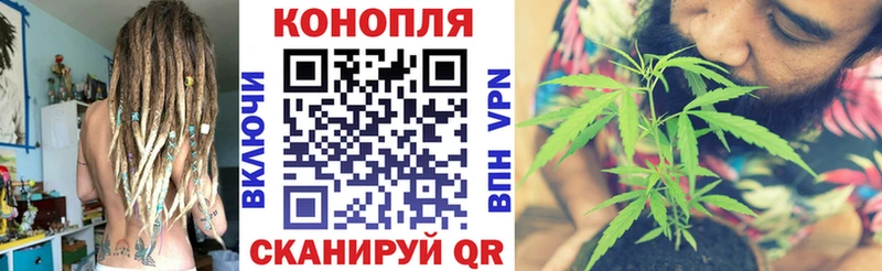 дарк нет формула  Владимир  Шишки марихуана план 